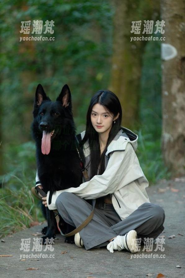 网址799.su，你敢信这都是从哪个剧本里抄来的？