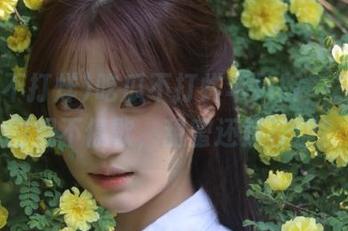 吃瓜不打烊苹果版，24小时围观不停歇，甜蜜还是苦涩？