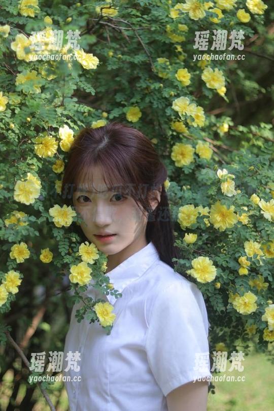 吃瓜不打烊苹果版，24小时围观不停歇，甜蜜还是苦涩？