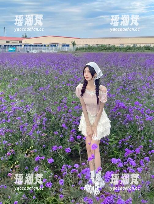官网下载安装吃瓜网app，我的日常吸瓜计划就此启动！
