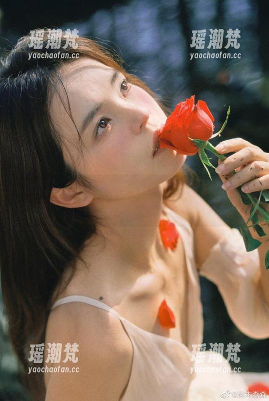 这段时间在黑料社在线查永久记录，简直像是在翻阅历史档案呢！